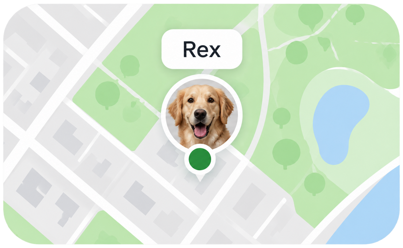 Rex's current location